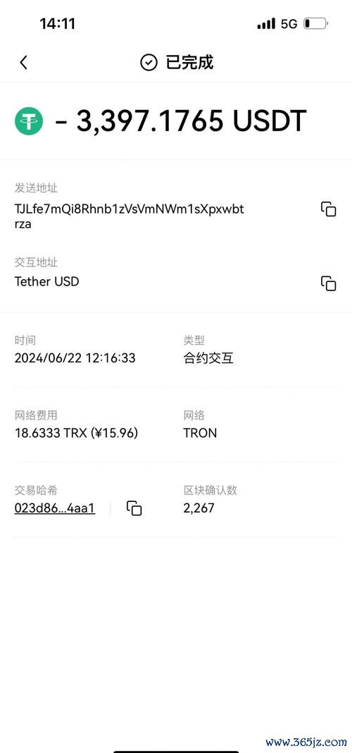 钱包αpp_钱包ai_下载token钱包的官方网站，探索其背后强大的技术支持与用户友好的使用体验。
